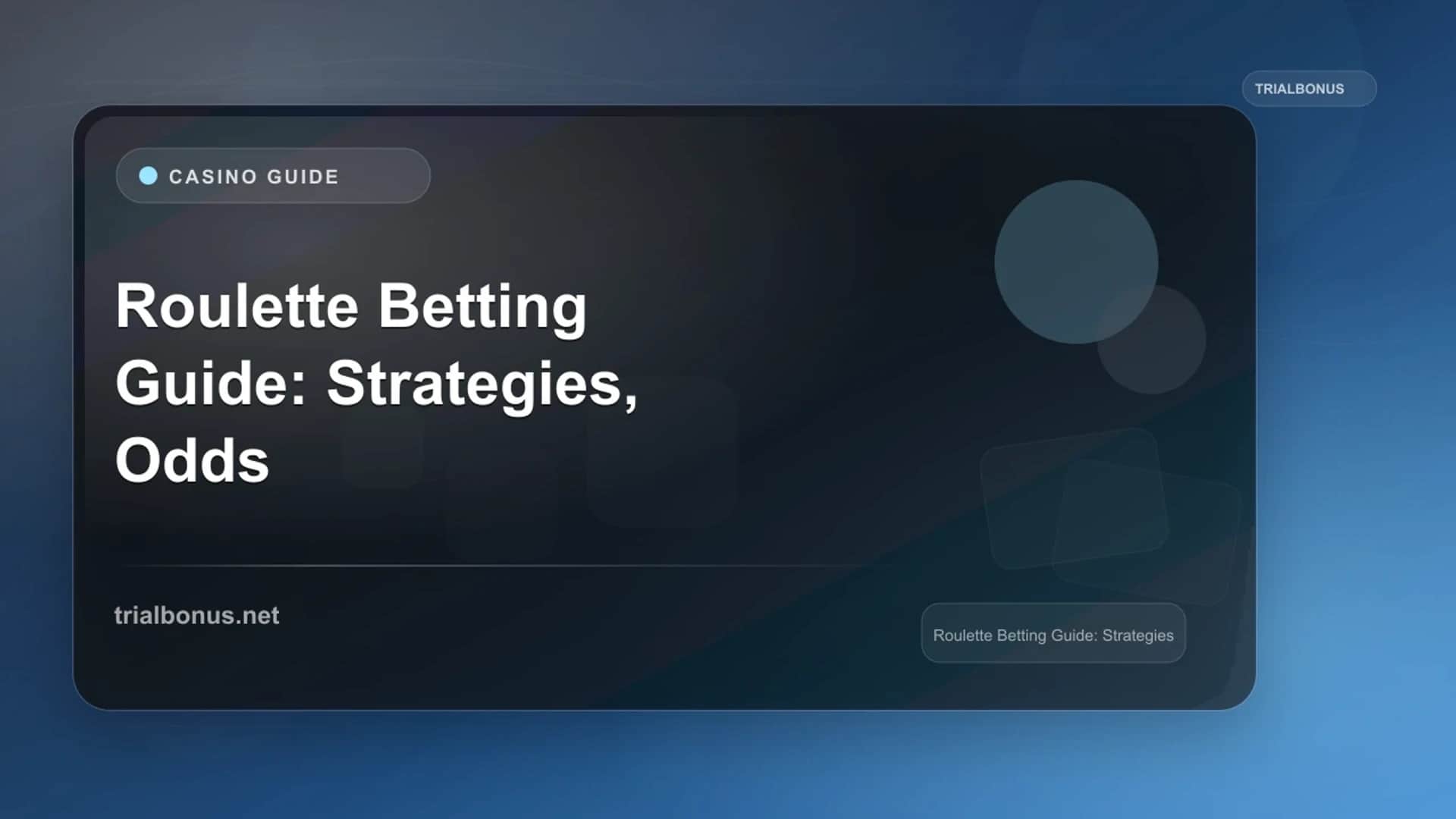 Roulette Betting Guide: Strategies, Odds & Wheel Positions