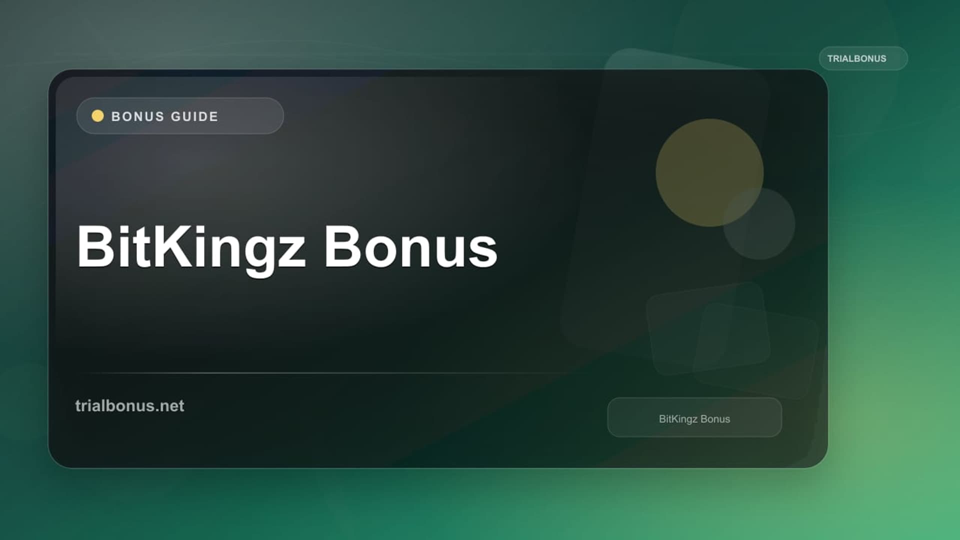 BitKingz logo