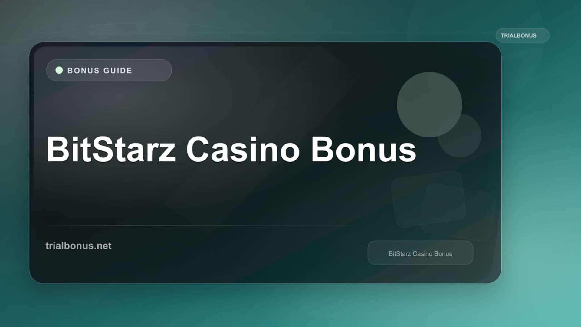 BitStarz Casino: Terms and Bonus Checks