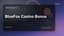 Bluefox Casino