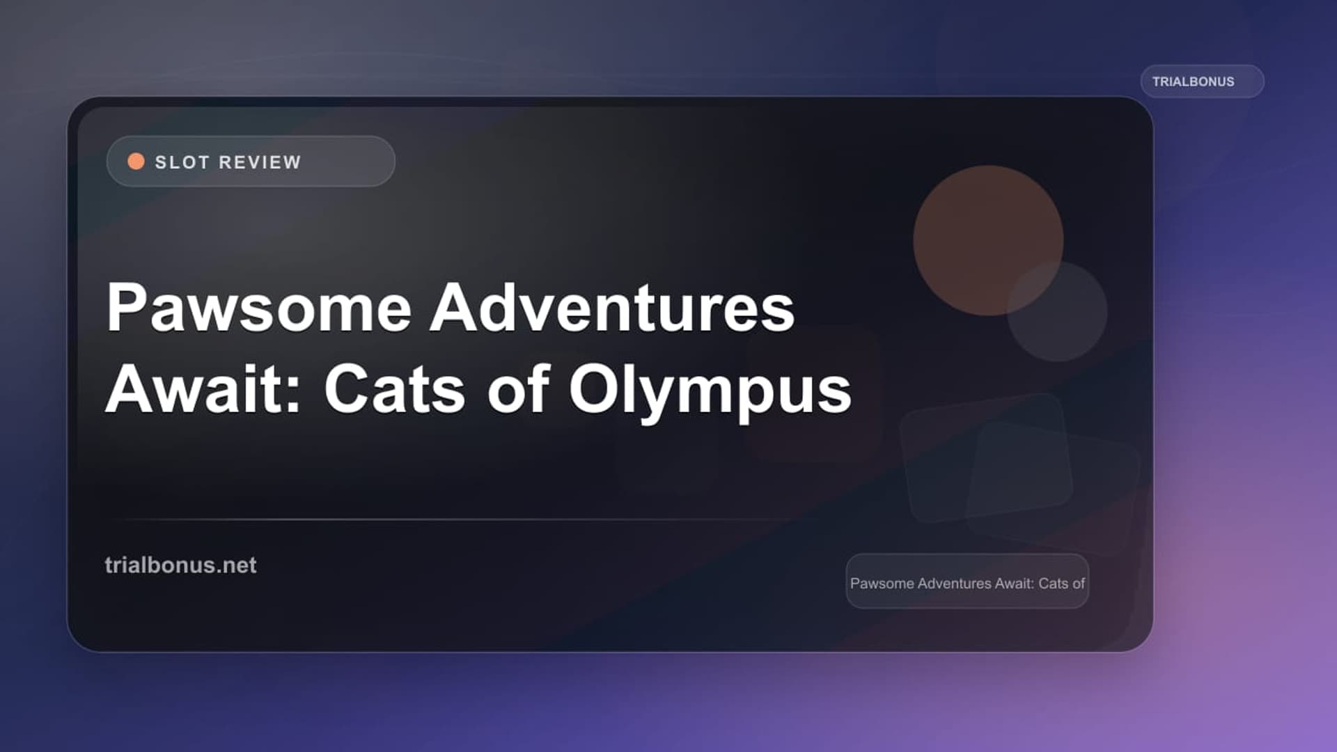 Pawsome Adventures Await: Cats of Olympus