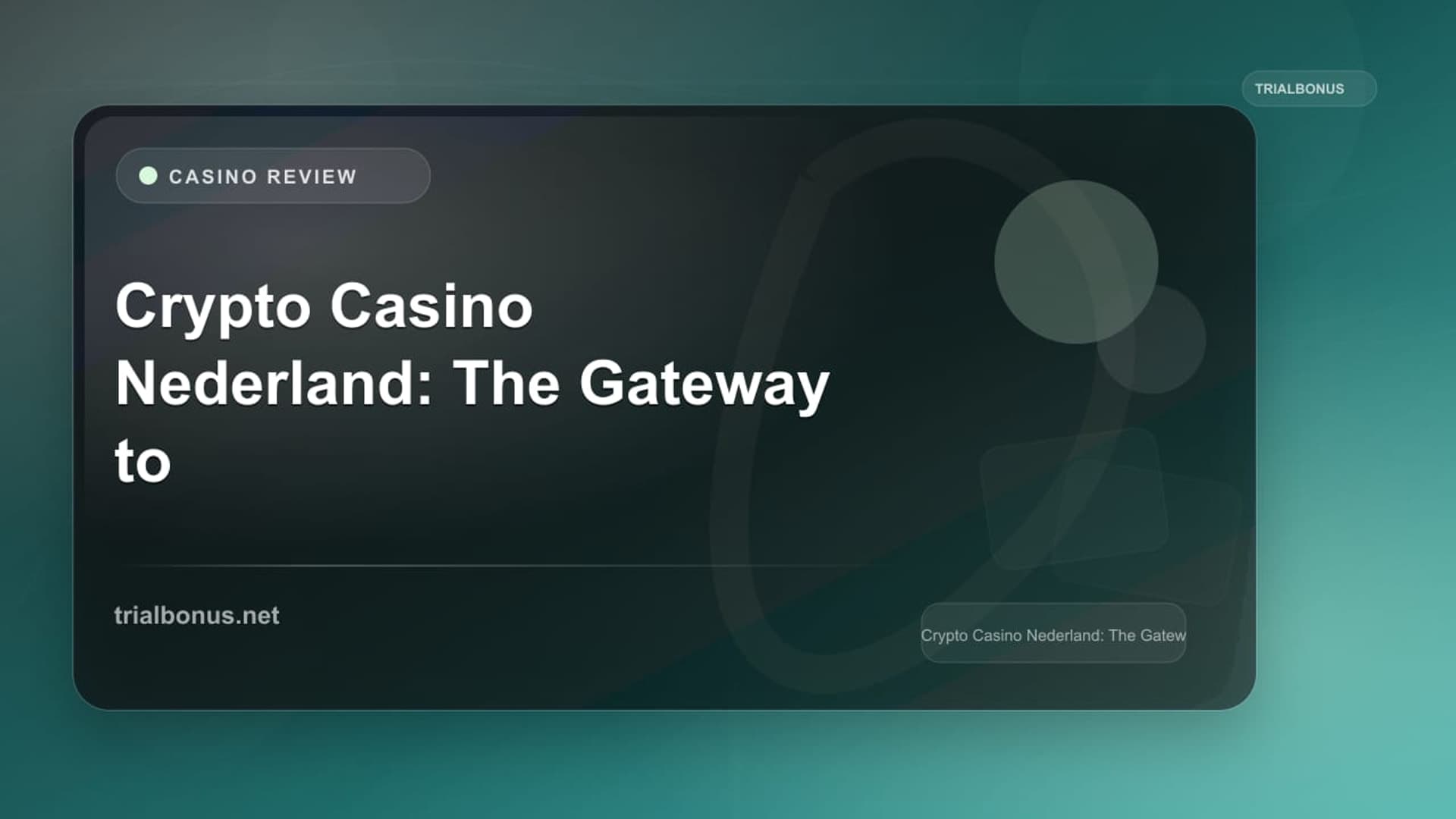 Crypto Casino Nederland: Terms to Verify