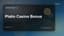 Platin Casino Bonus