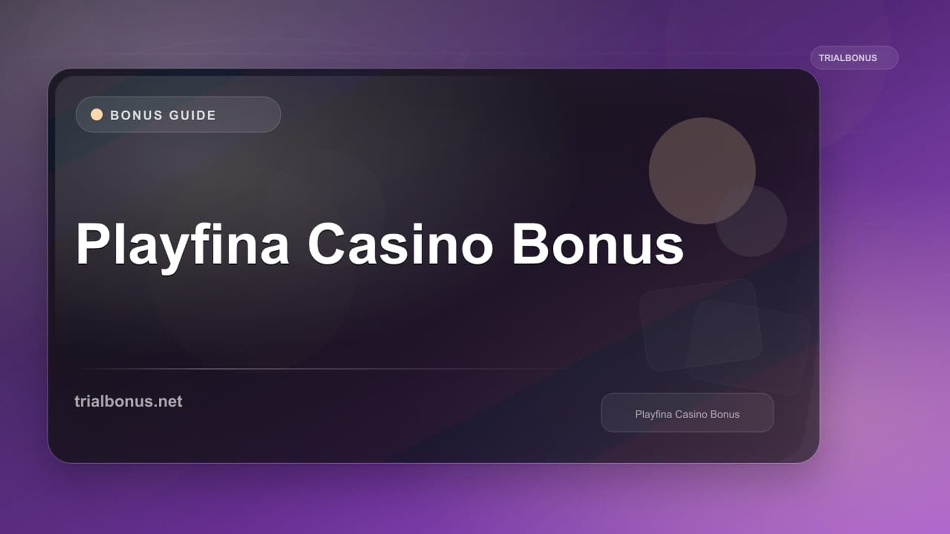 Playfina logo