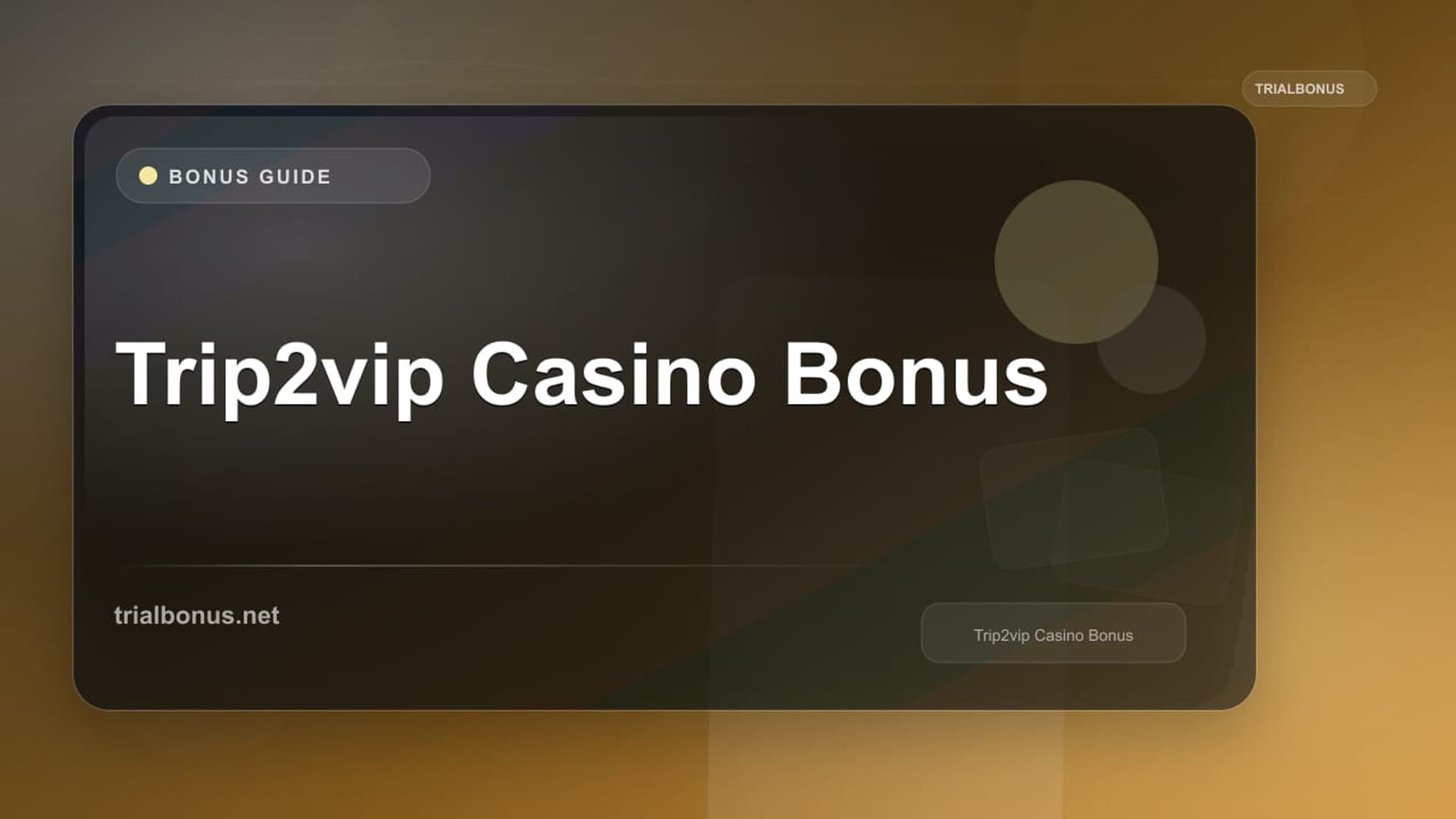 Trip2vip logo
