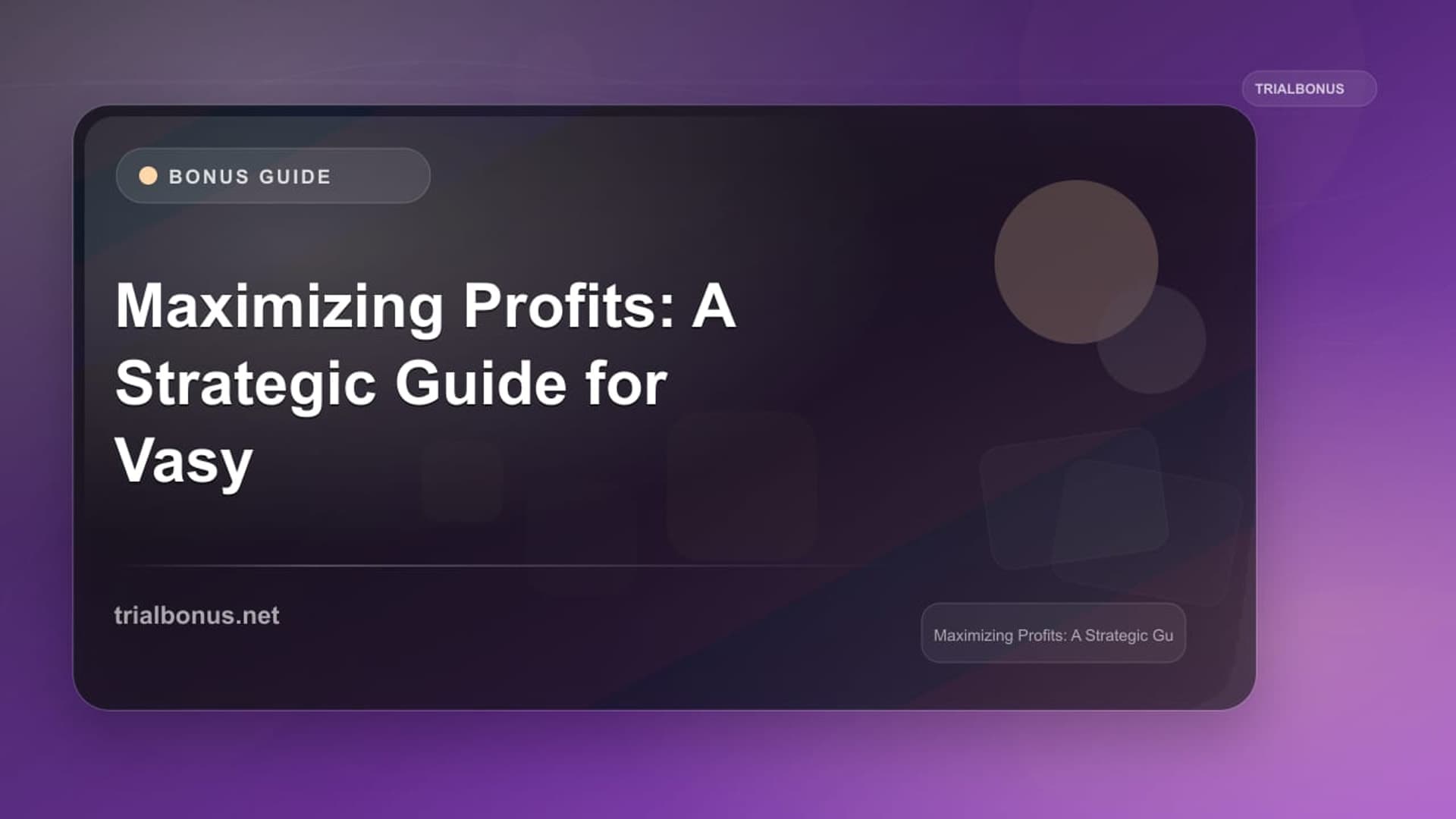 Maximizing Profits: A Strategic Guide for Vasy Casino Bonus