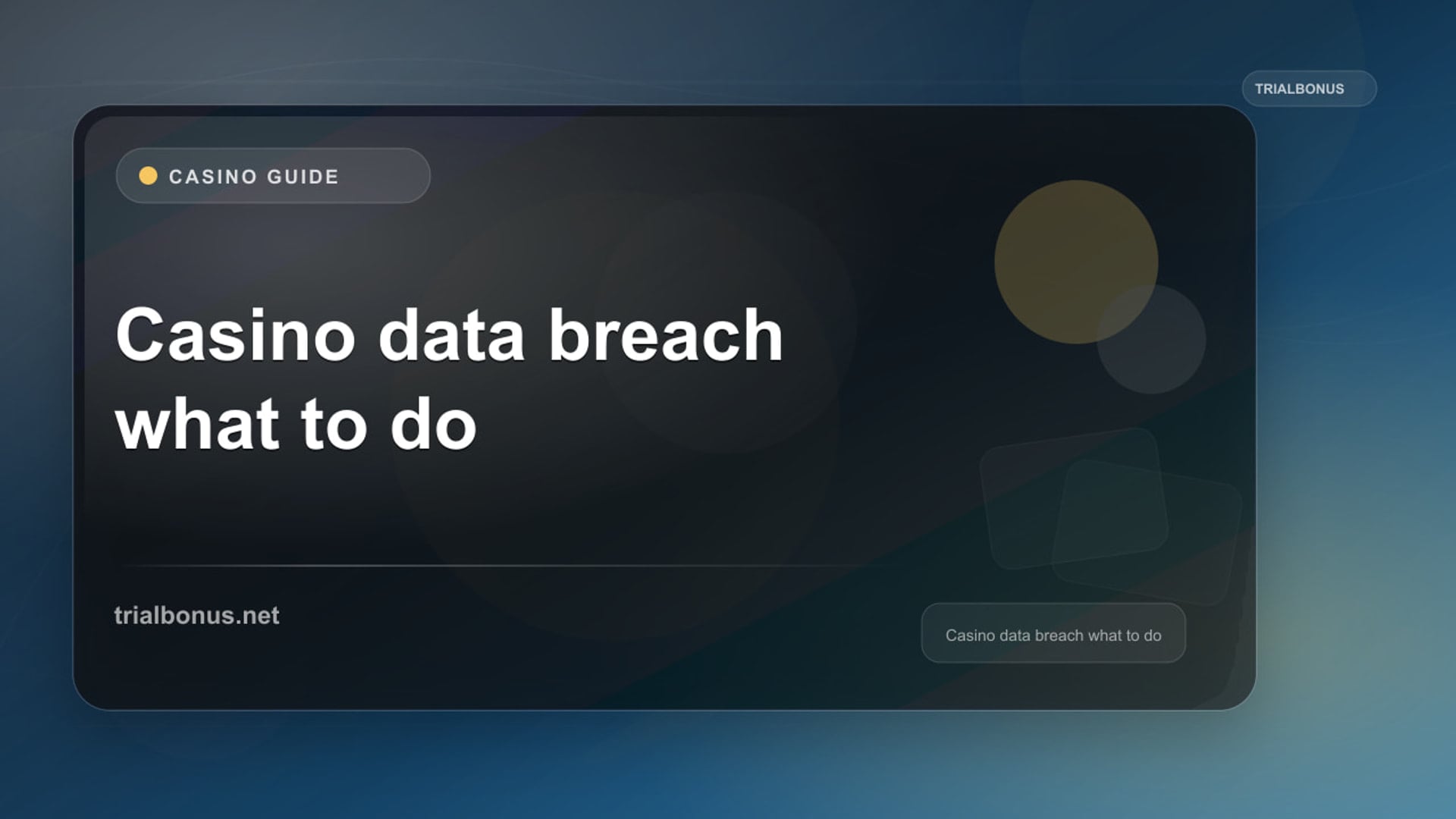 Casino Data Breach: What to Do in the UK review
