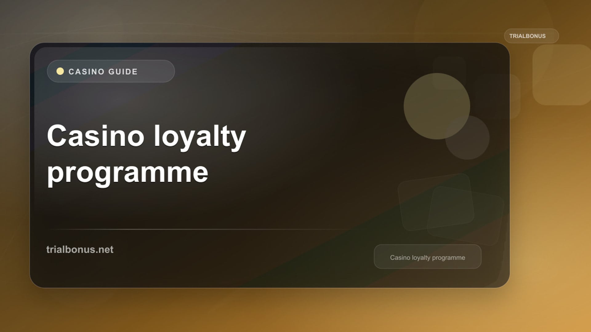 Casino Loyalty Programme Guide review