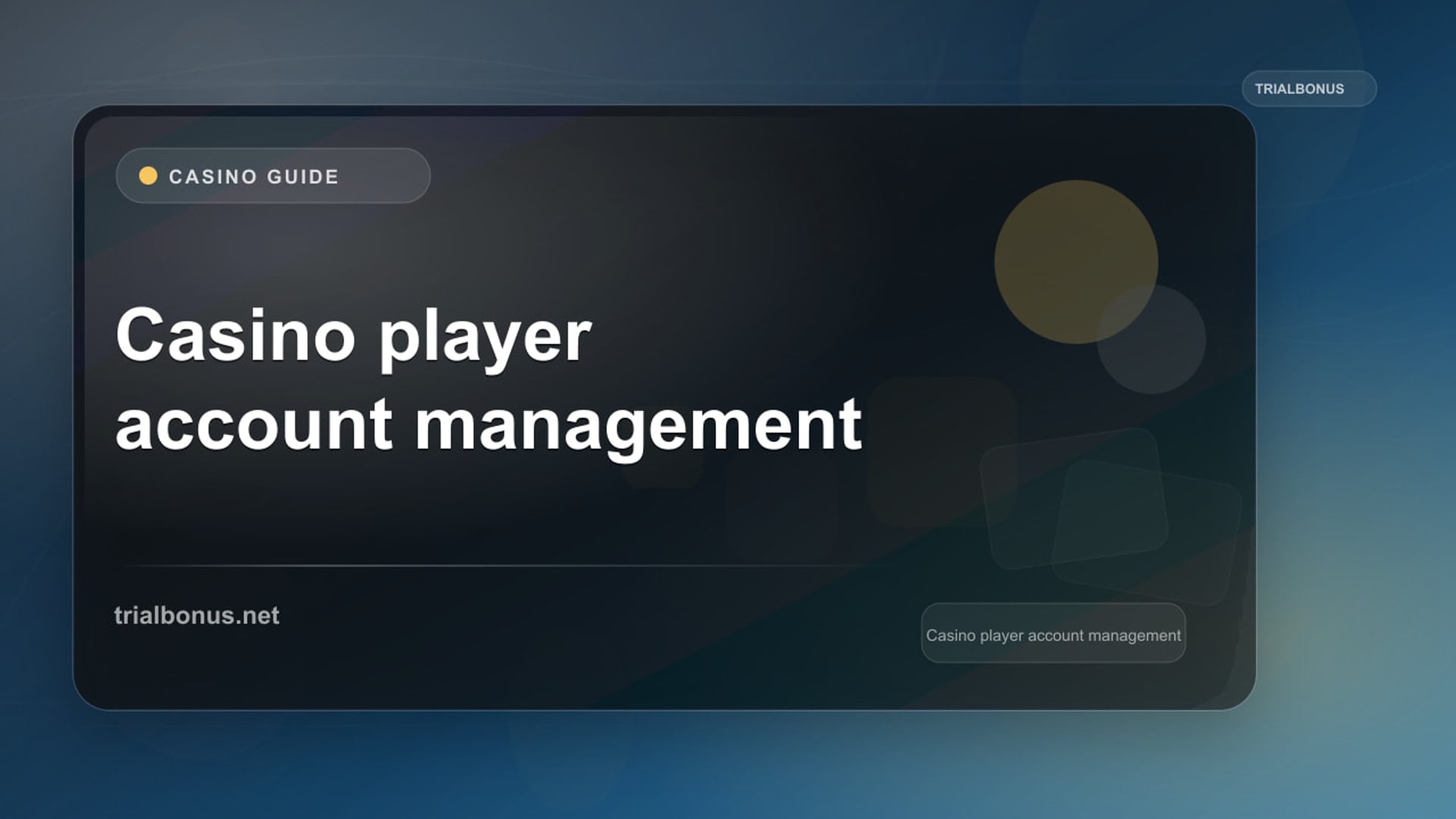 Casino Player Account Guide: Terms to Check review