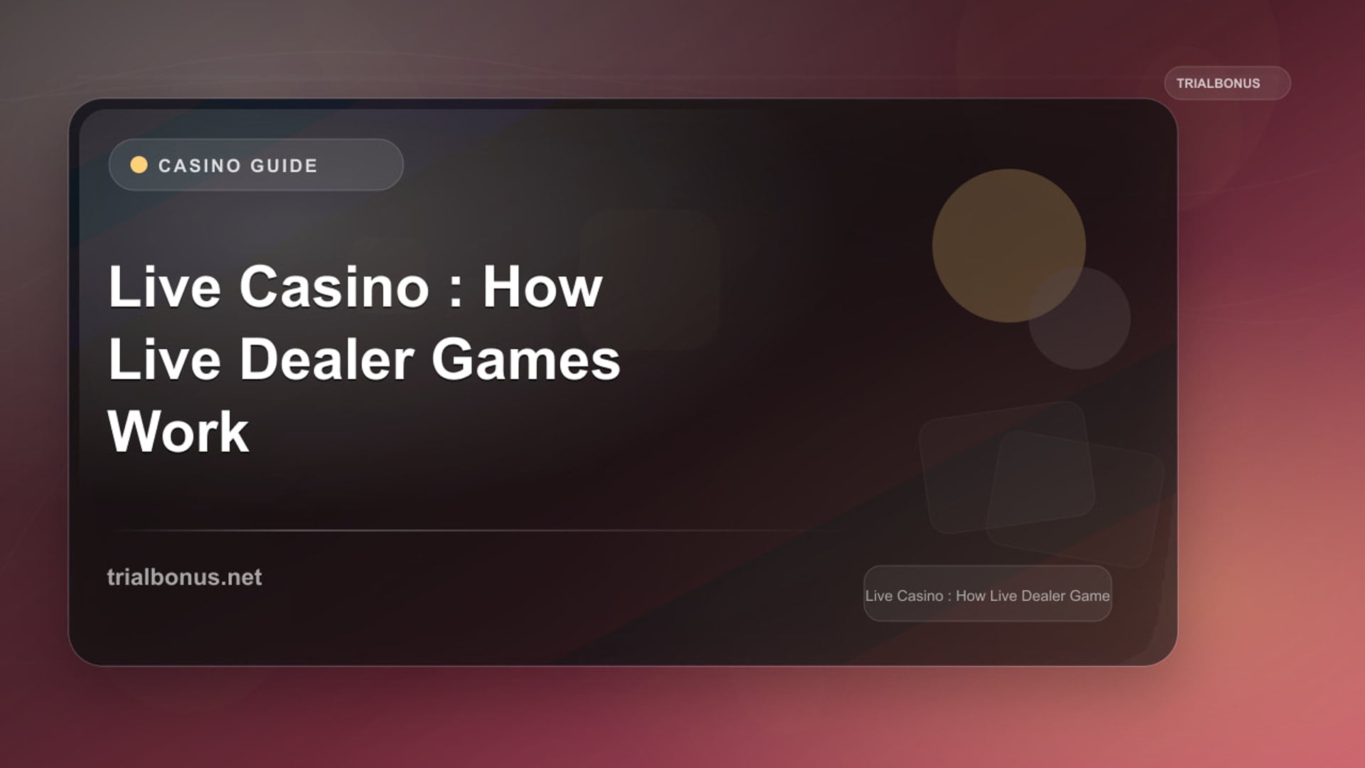 Live Casino Guide: How Live Dealer Games Work review