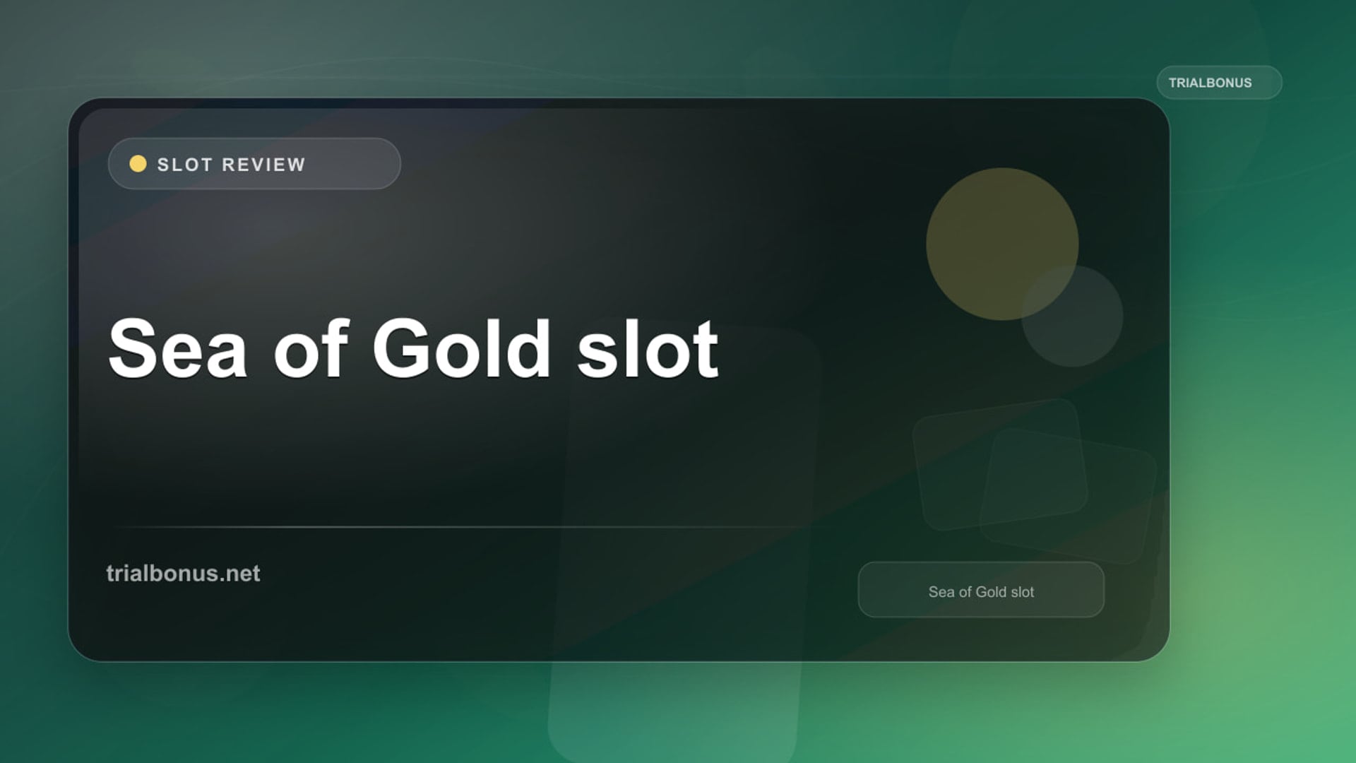 Sea of Gold Slot: What to Check Before Playing review