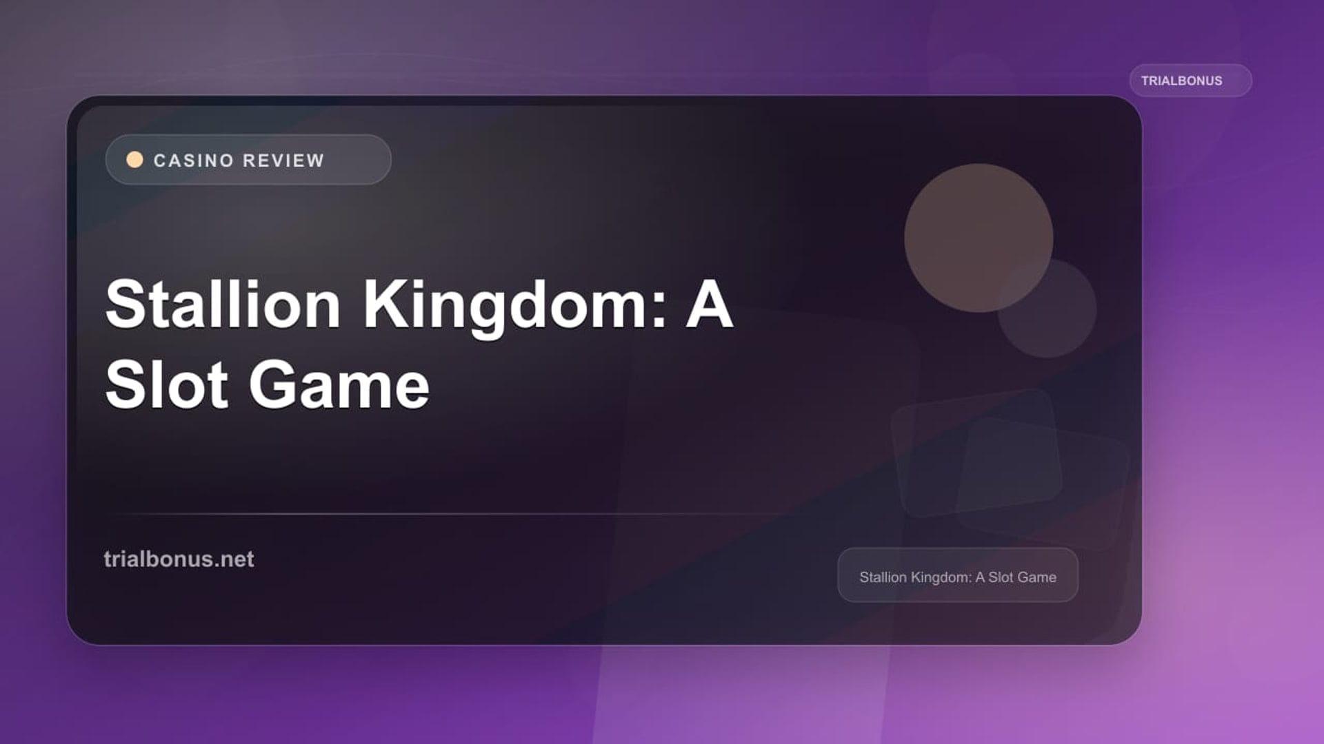 Stallion Kingdom: A Slot Game review