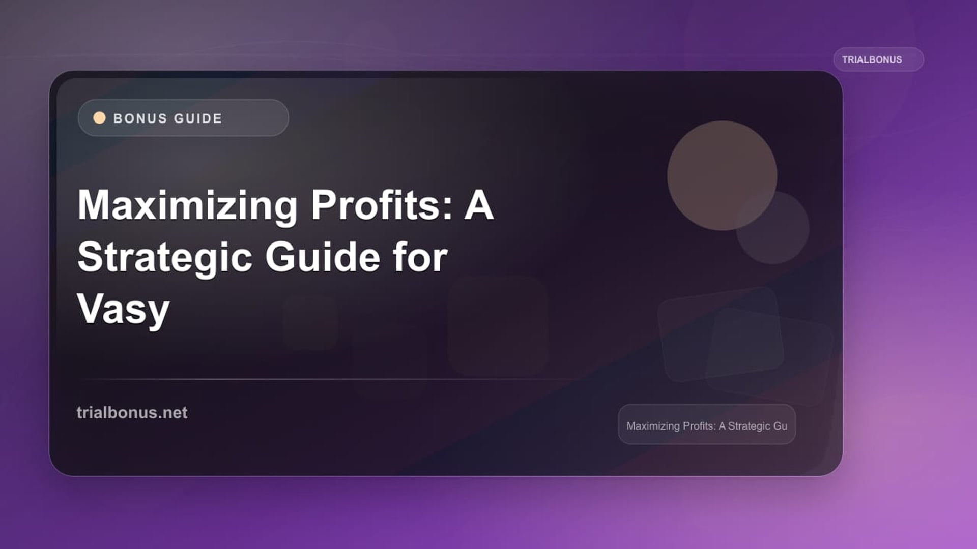 Maximizing Profits: A Strategic Guide for Vasy Casino Bonus review