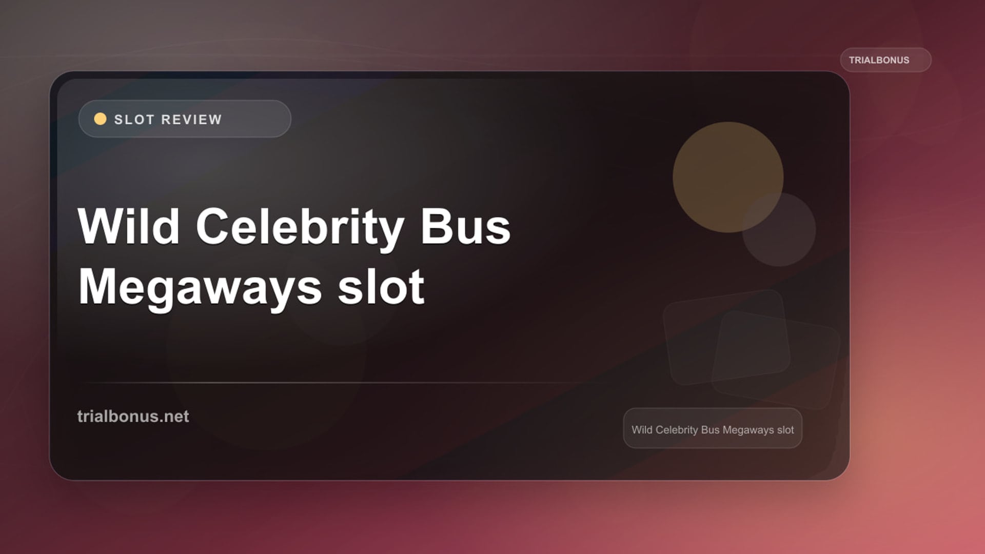 Wild Celebrity Bus Megaways Slot: What to Check Before Playing review