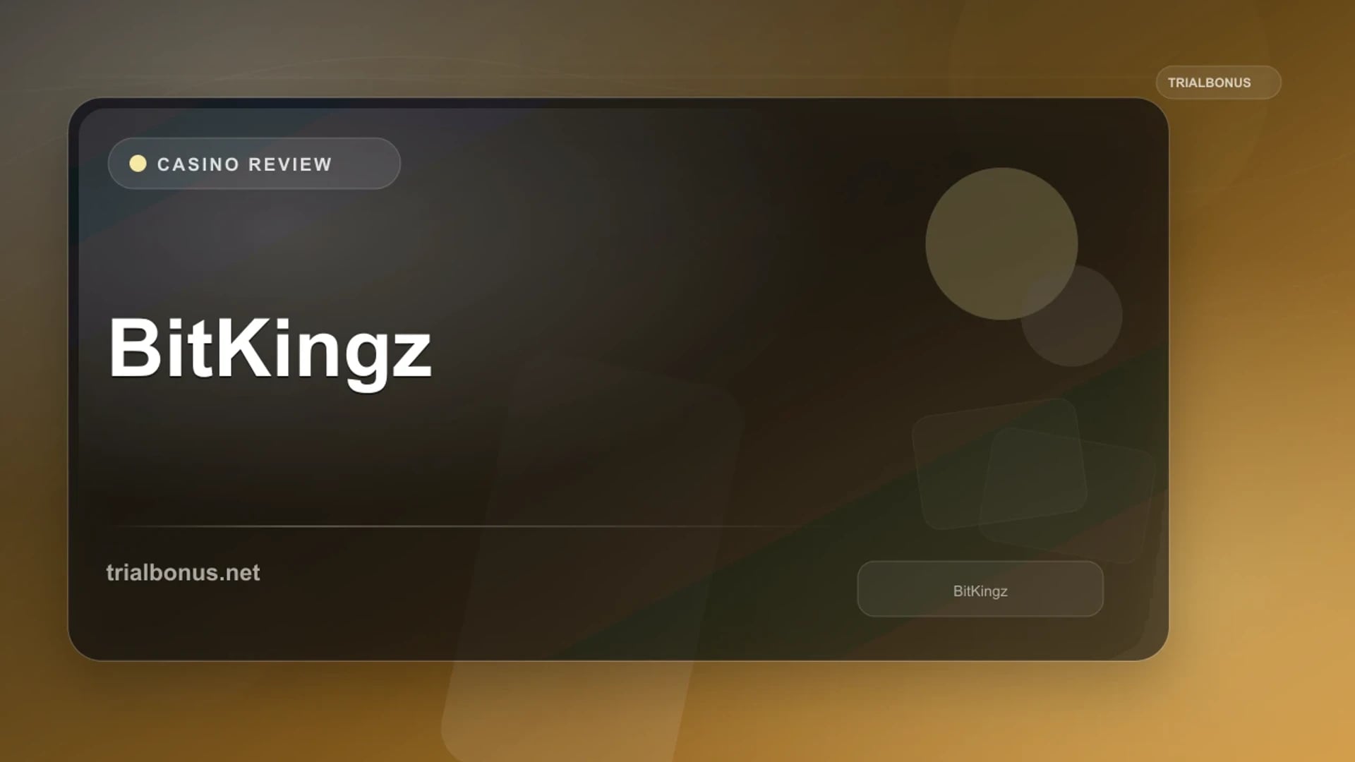 BitKingz Review review