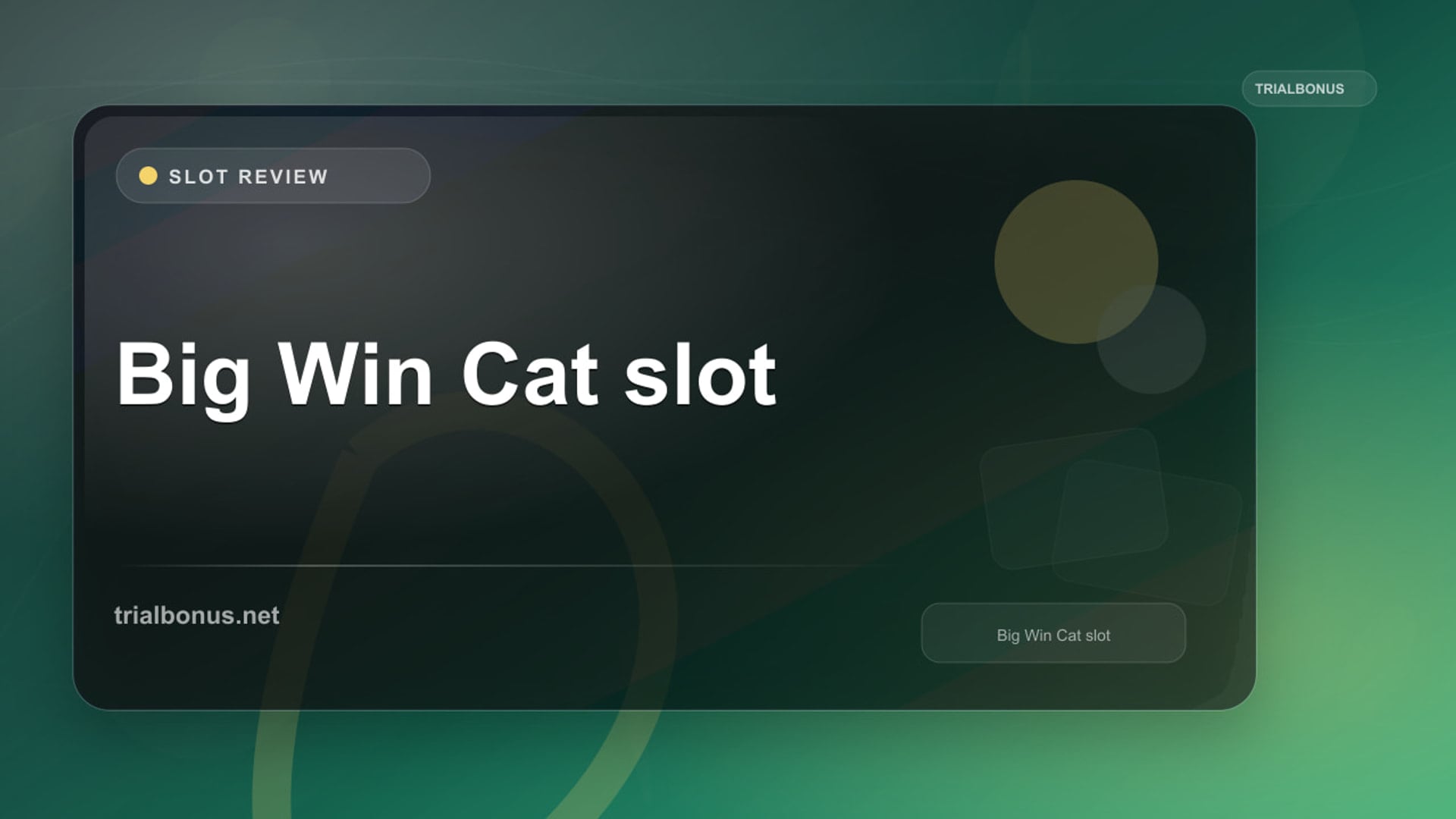 Big Win Cat Slot: What to Check Before Playing review
