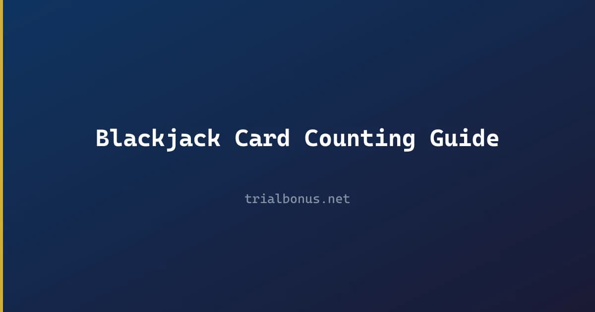 Blackjack Card Counting Guide review