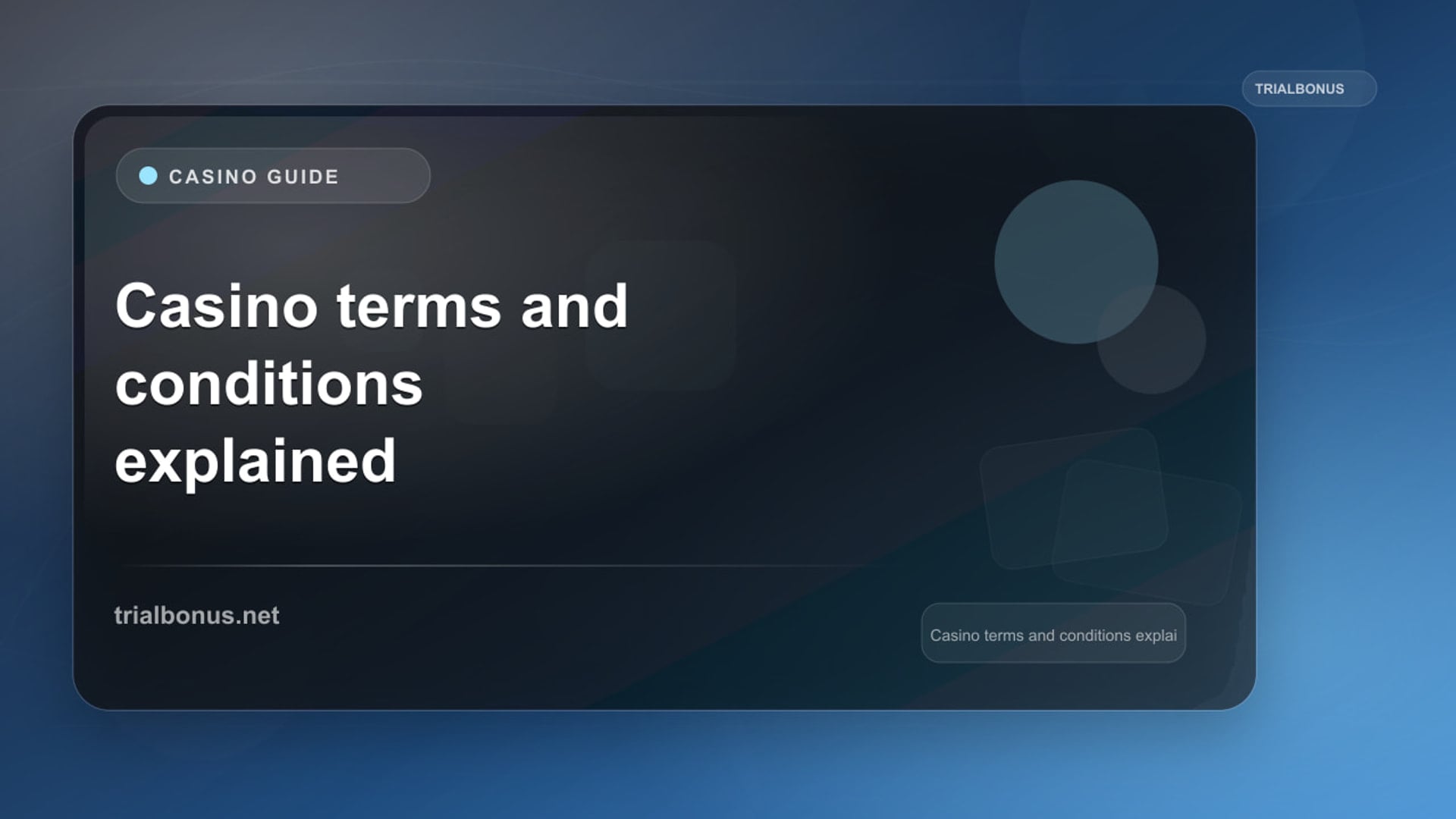 Casino Terms and Conditions Guide review