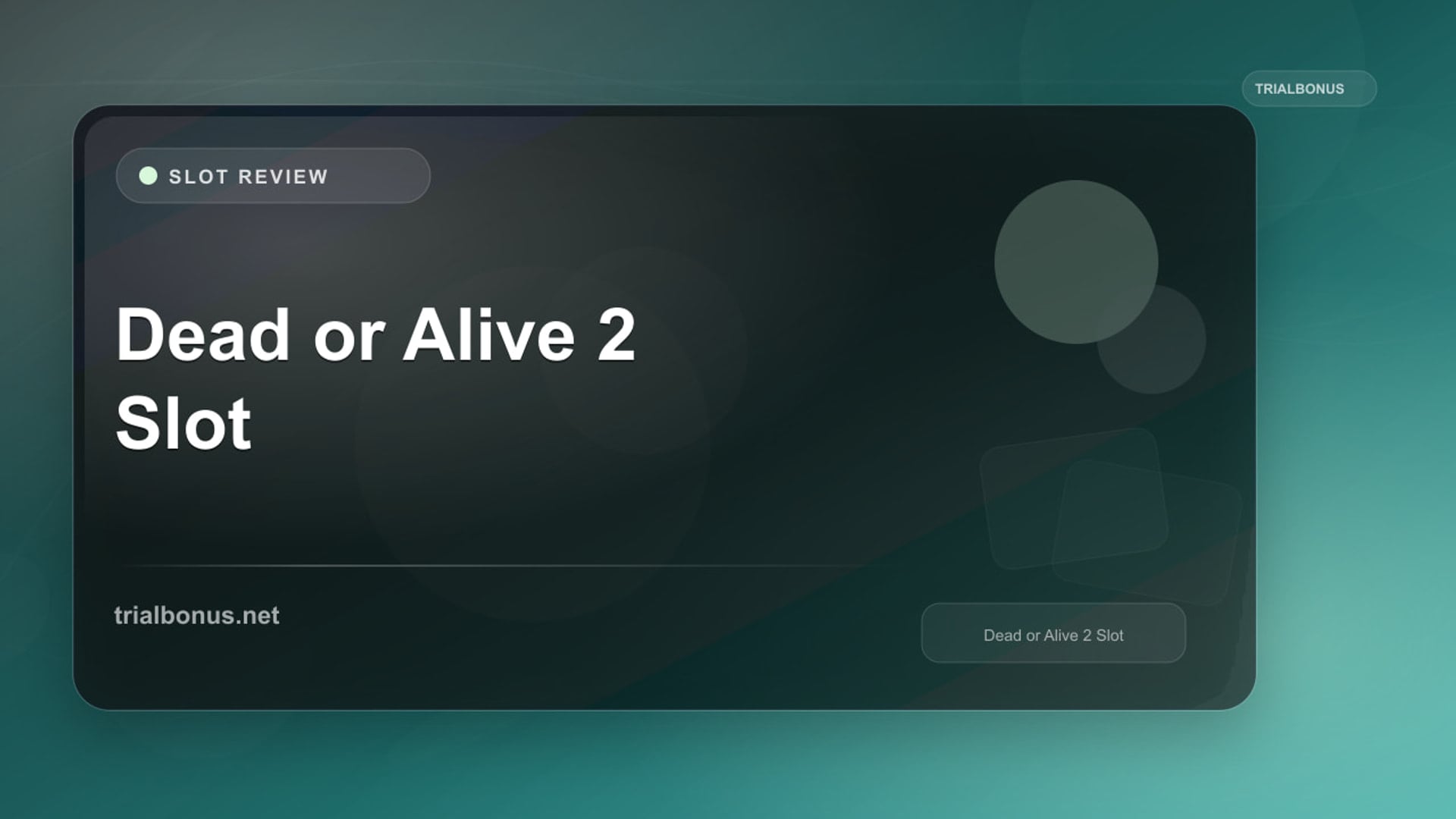 Dead or Alive 2 Slot review