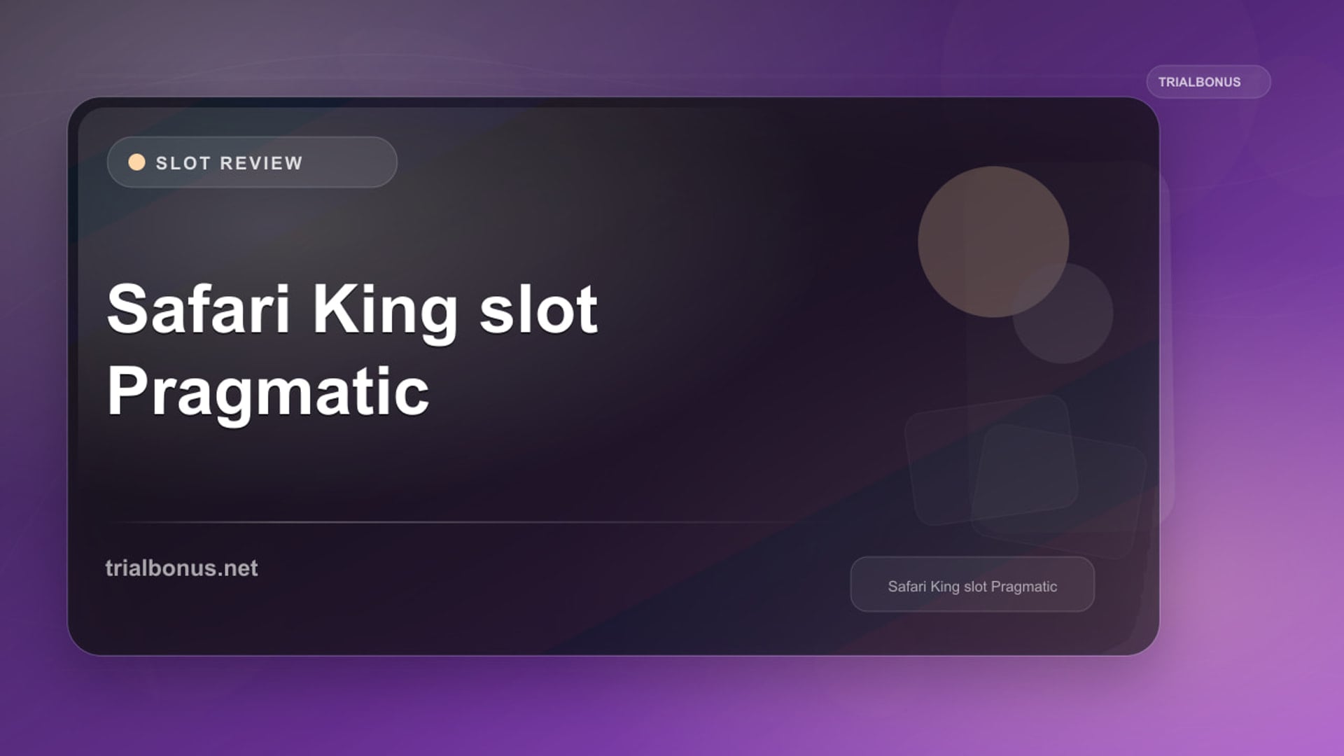 Safari King Slot Game Guide review