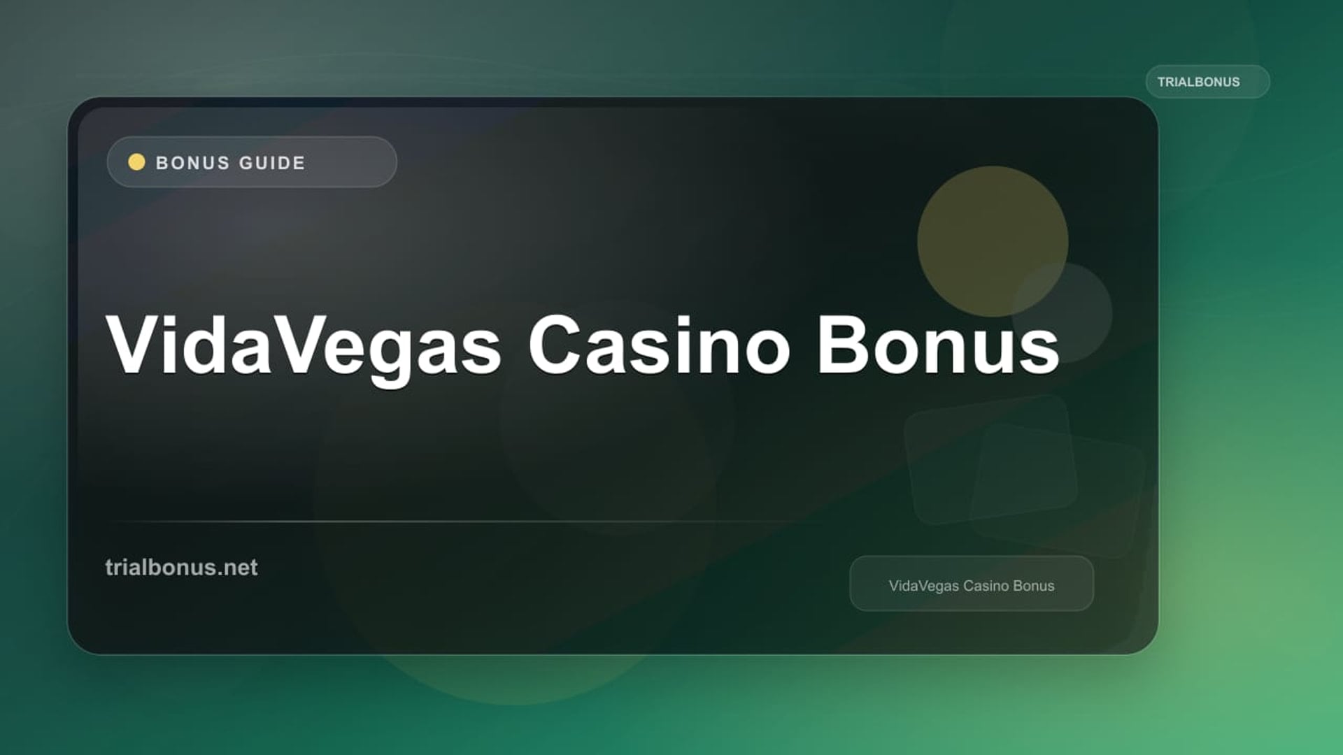 VidaVegas Casino Bonus review