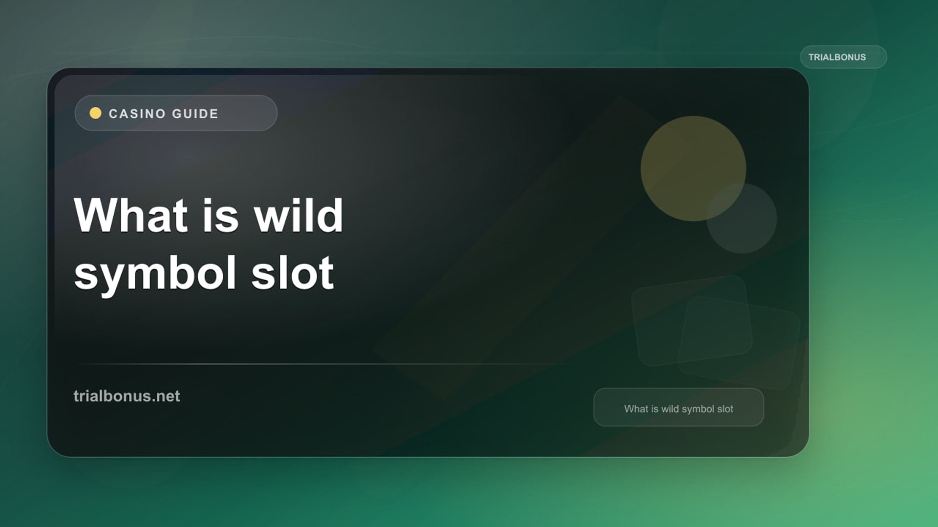 What is a wild symbol slot Guide review